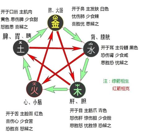 五行相剋夫妻|五行夫妻相生相克 五行夫妻相生相克表